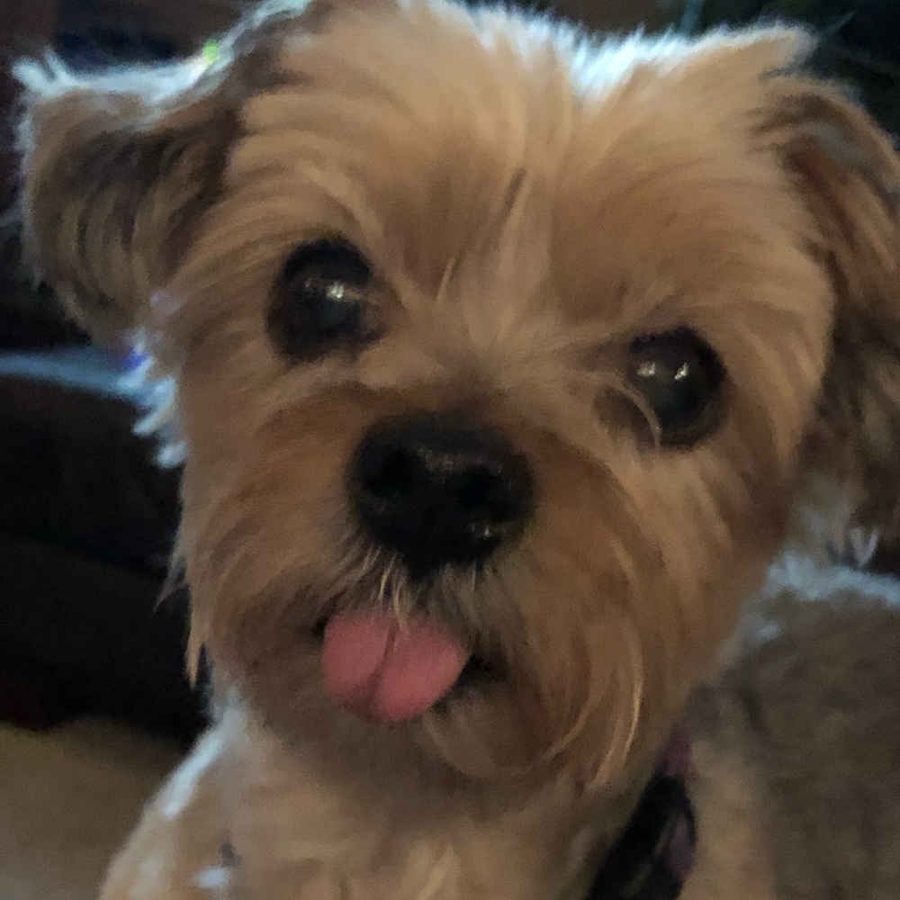 Meet your Posher, Dena